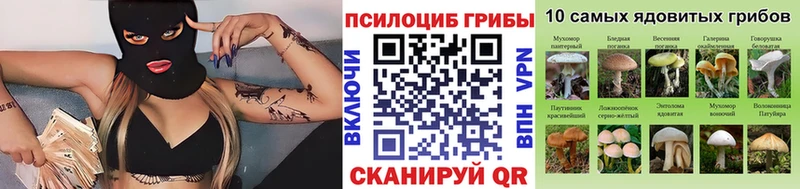 Псилоцибиновые грибы MAGIC MUSHROOMS закладка Снежногорск