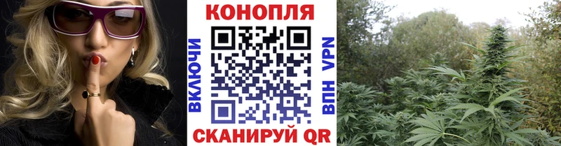 Конопля план  наркотики  Снежногорск 