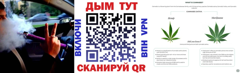 МАРИХУАНА сатива Снежногорск